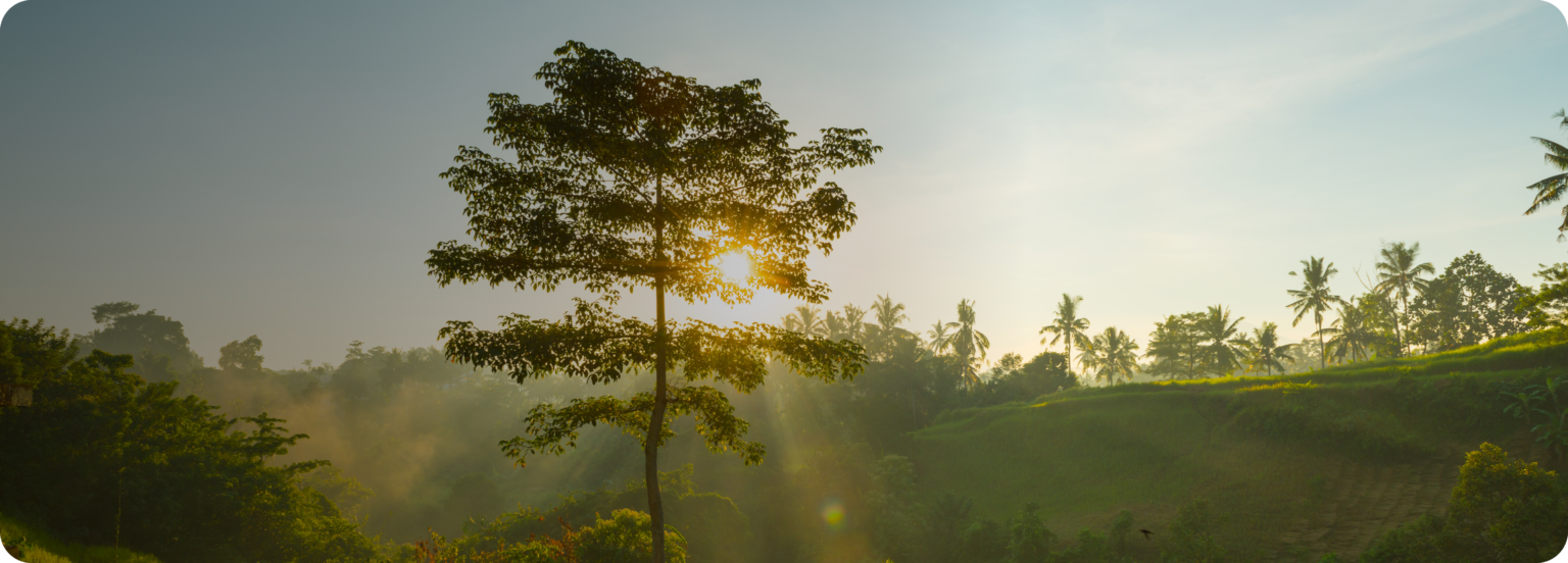 Landing-page-image-2