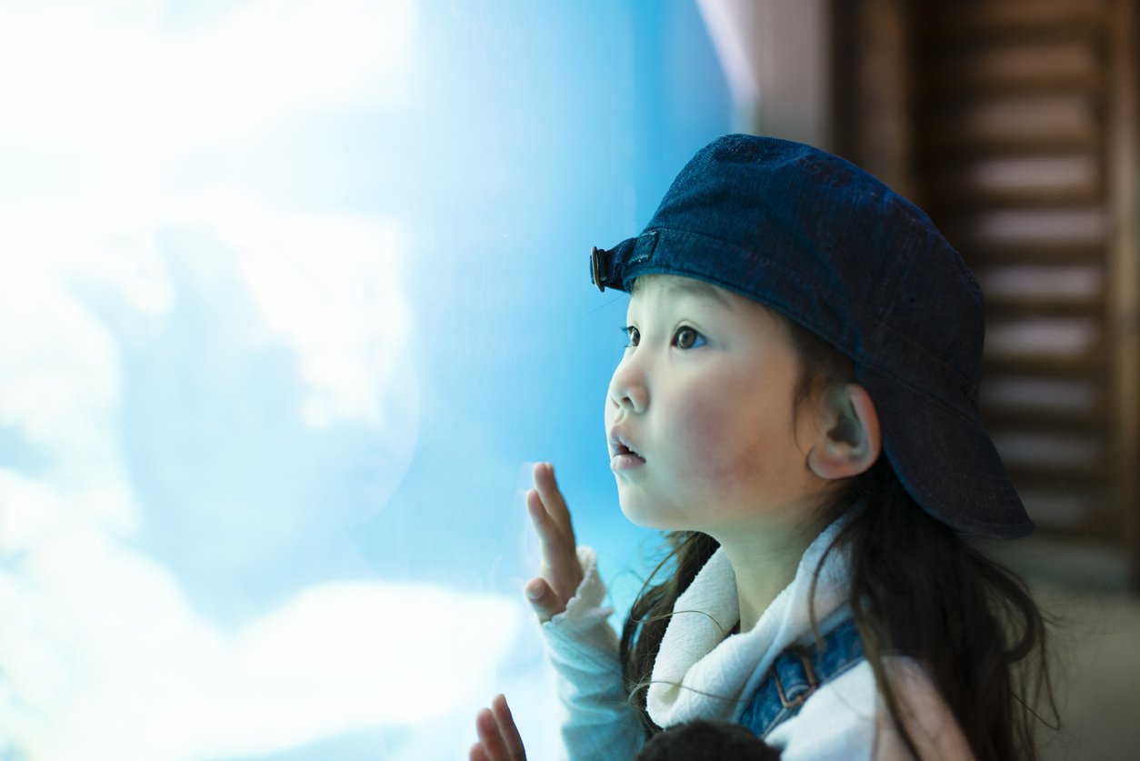 Little girl watching aquarium
